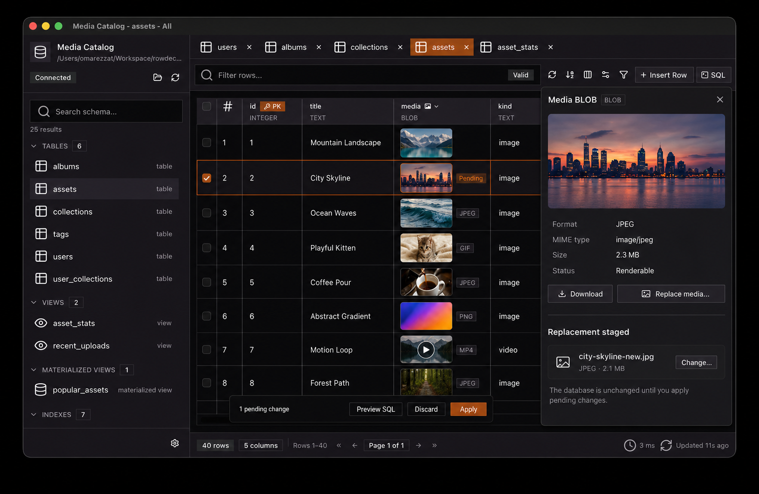 RowDeck assets table rendering image and video BLOB values inline